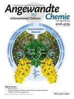 Reductive Amination by Photoredox Catalysis and Polarity‐Matched Hydrogen Atom Transfer