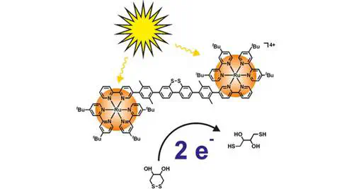 Charge Accumulation and Multi‐Electron Photoredox Chemistry with a Sensitizer–Catalyst–Sensitizer Triad