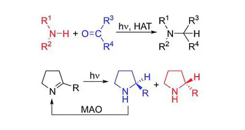 Reductive Amination and Enantioselective Amine Synthesis by Photoredox Catalysis