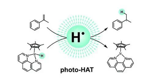 Photo-triggered hydrogen atom transfer from an iridium hydride complex to unactivated olefins