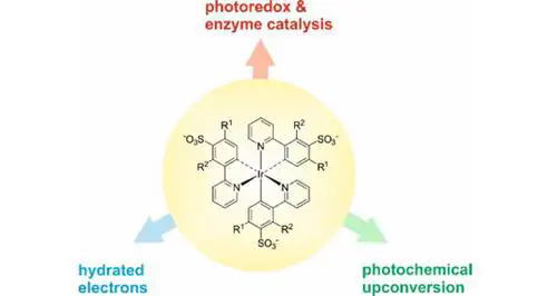 Water-Soluble Tris(cyclometalated) Iridium(III) Complexes for Aqueous Electron and Energy Transfer Photochemistry