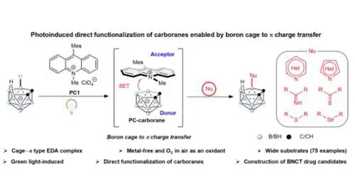 Photoinduced Selective B–H Activation of nido-Carboranes