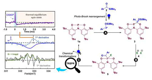 Visible-Light Unlocked Carbene Insertion and Radical Release in a Structurally Constrained Pincer Phosphorus Compound