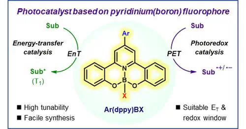 Pyridinium(Boron) Fluorophores as Versatile Photocatalysts