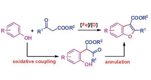 Iron-Catalyzed Tandem Oxidative Coupling and Annulation: An Efficient Approach to Construct Polysubstituted Benzofurans